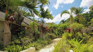 A lush garden with palm trees, ferns, and flowering plants, leading to a building with a light-colored exterior. - Villa with Private Pool and Sandy Lane Beach Club Access - Coral Gables (Sandy Lane)