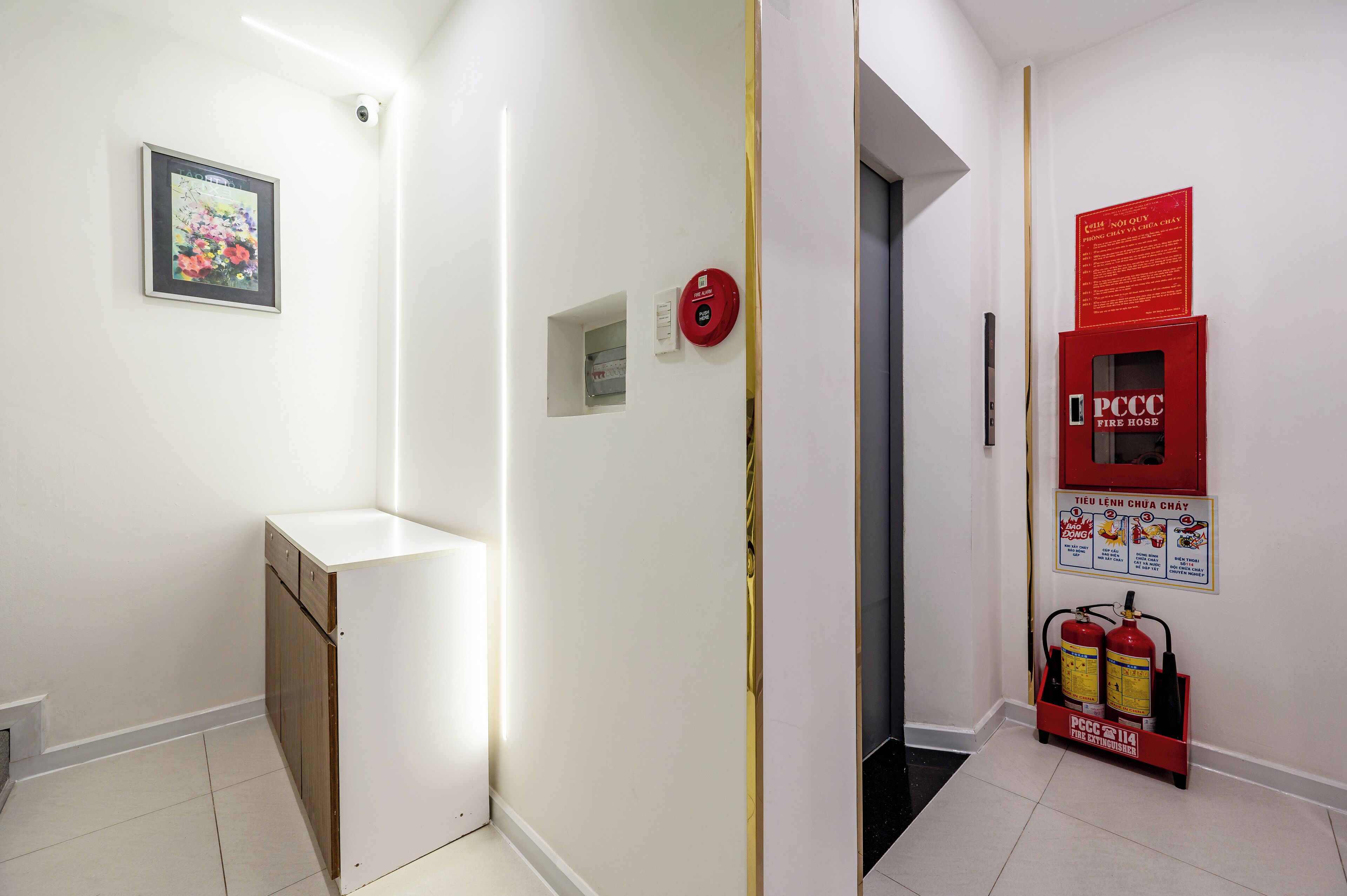 A hallway with a white wall, a framed picture, a fire hose cabinet, and a door.