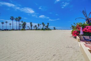 On the beach - Ocean Front * 3 Water View Patios * A/C (San Diego)