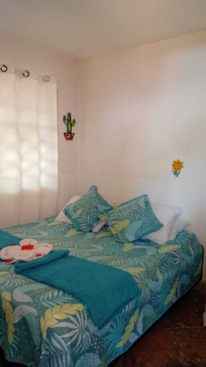 A bedroom with a bed, a potted plant, and a wall decoration.