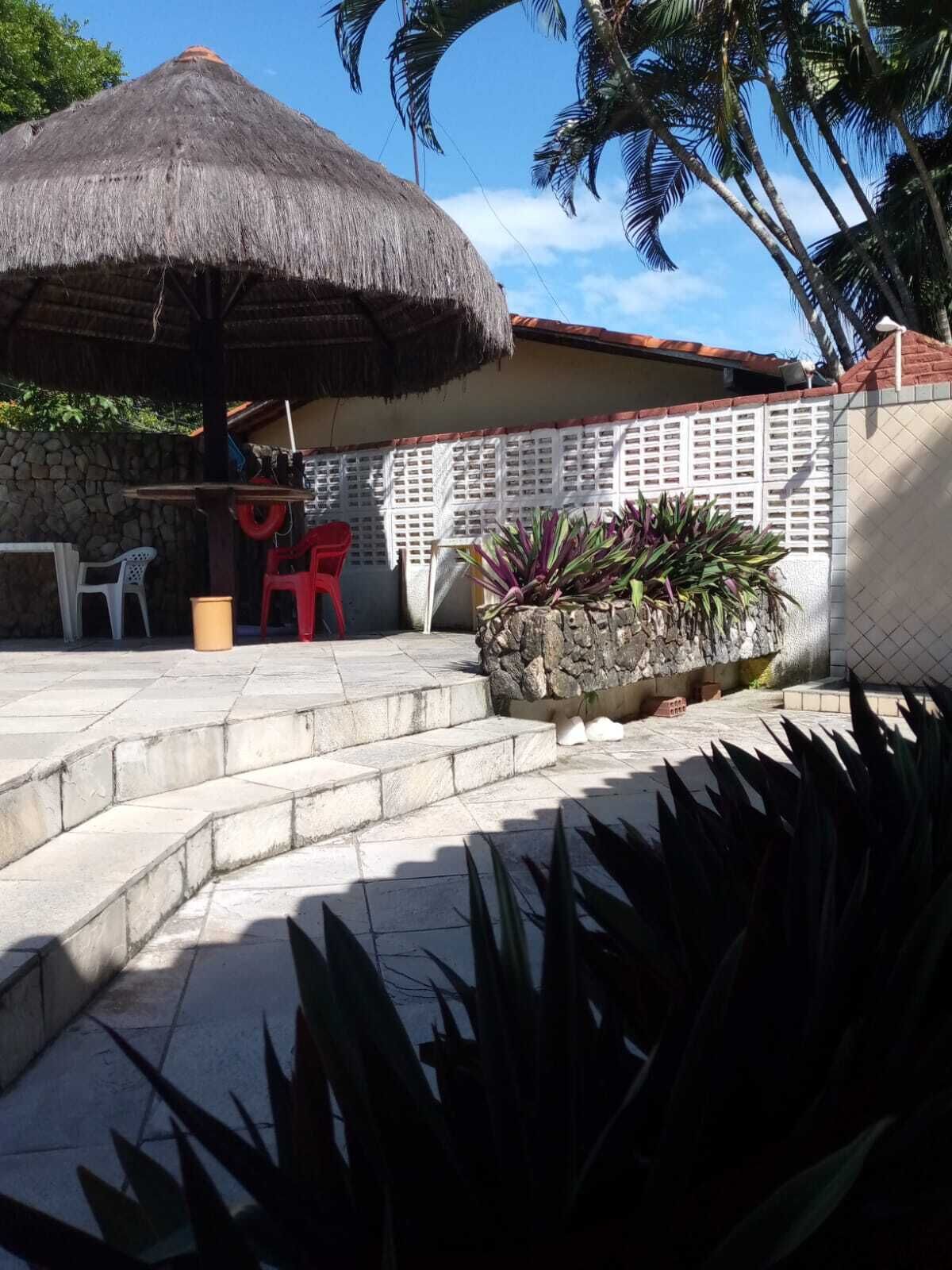 Un patio con techo de paja, escalones de piedra y plantas en macetas.