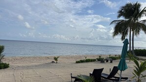 A beach with lounge chairs, a palm tree, and a view of the ocean. -  Cayman Bliss - Beachfront house private Pool & Beach Sleeps 8 Family-Friendly (West Bay)