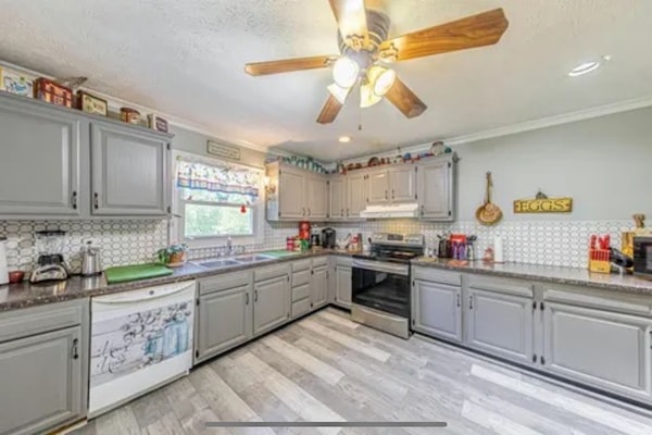 Een microgolfoven, een oven, een kookplaat, een vaatwasser