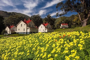 المنشأة من الخارج