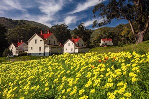 Exterior - 1-Bedroom Suite at a 4.5⭐️ Hotel (Sausalito)