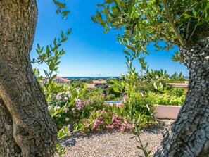 Terrain de lâhĂ©bergement