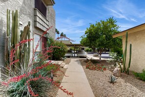Property grounds - Sunny Comfort Meets Scottsdale Style – Your Perfect Desert Retreat Awaits! (Scottsdale)