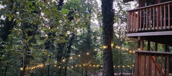 Porch + Woods + Trail Access = Back40 Bliss! Ride,Relax,Recharge in Cozy BV home