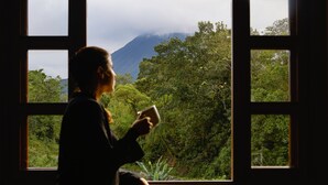 Una persona sentada junto a una ventana con vistas a una montaña y vegetación densa.