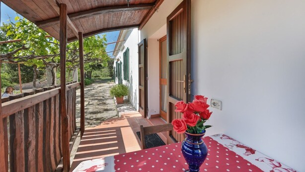 Uma área externa coberta com teto de madeira, um vaso de planta e uma mesa com toalha xadrez.