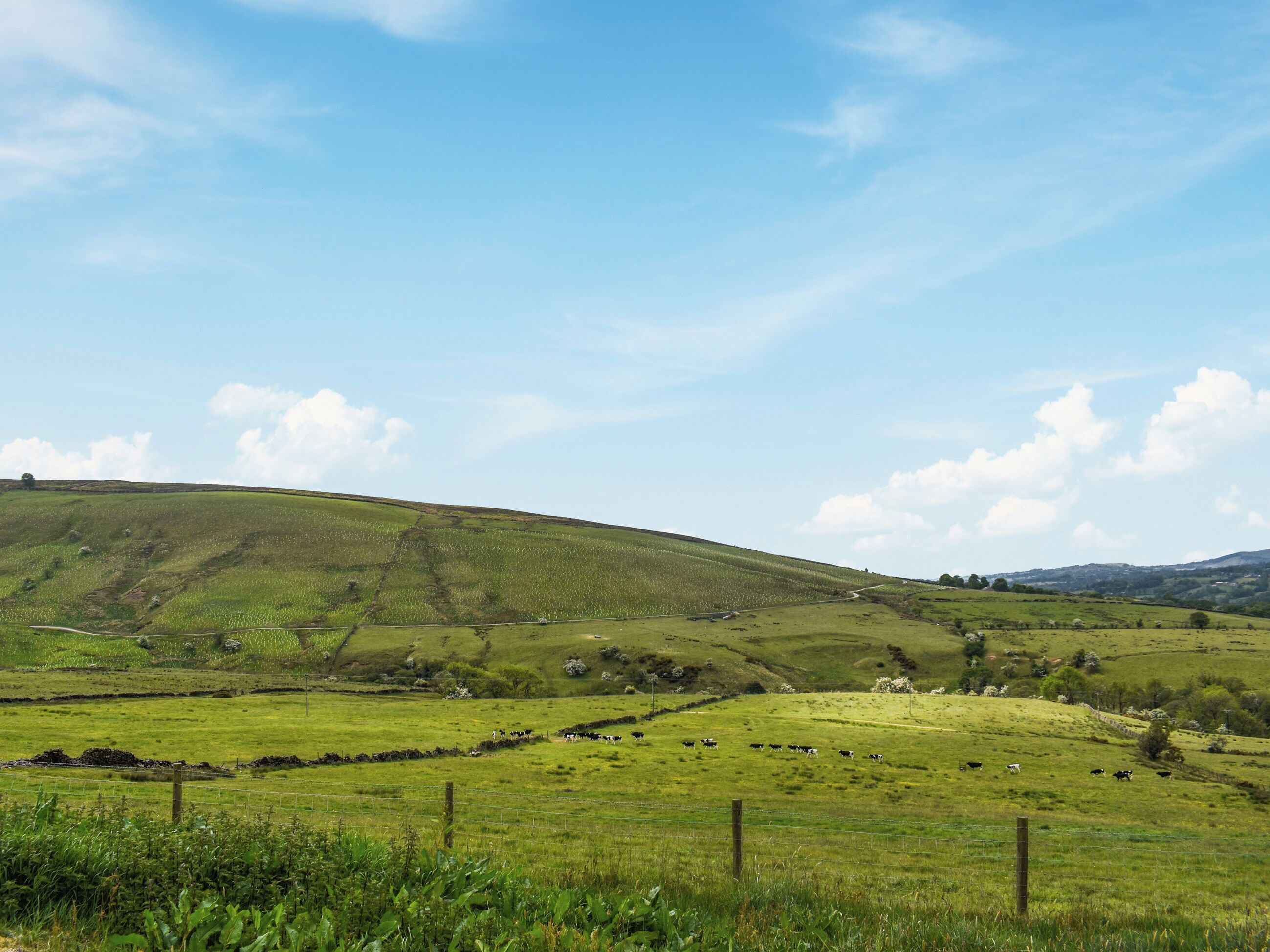 A rural landscape with rolling hills, a fenced field, and a clear sky.