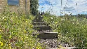 A set of concrete steps leading up to a building with a window, surrounded by overgrown vegetation. - 1 bedroom accommodation in Stroud (Stroud)