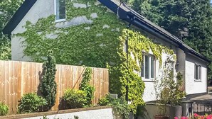 Une maison dont les murs extérieurs sont recouverts de lierre, avec une clôture en bois et des plantes en pot dans le jardin.
