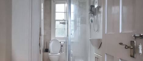 A modern bathroom with a glass-enclosed shower, a toilet, and a sink.