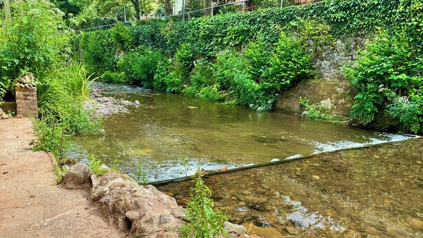 Ein natürlicher Wasserspeicher mit steiniger Uferlinie und dichter Vegetation.