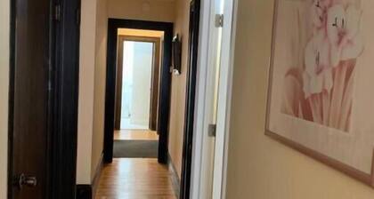 Cozy Private Rooms near UC Berkeley