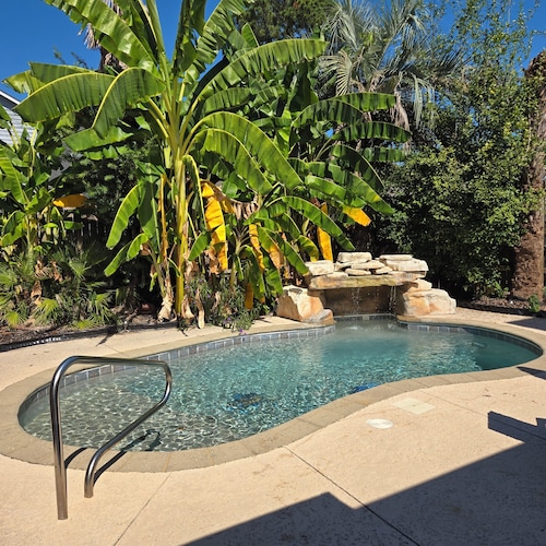 The University of South Alabama Poolside Getaway🇺🇲Veteran Own ⚓️