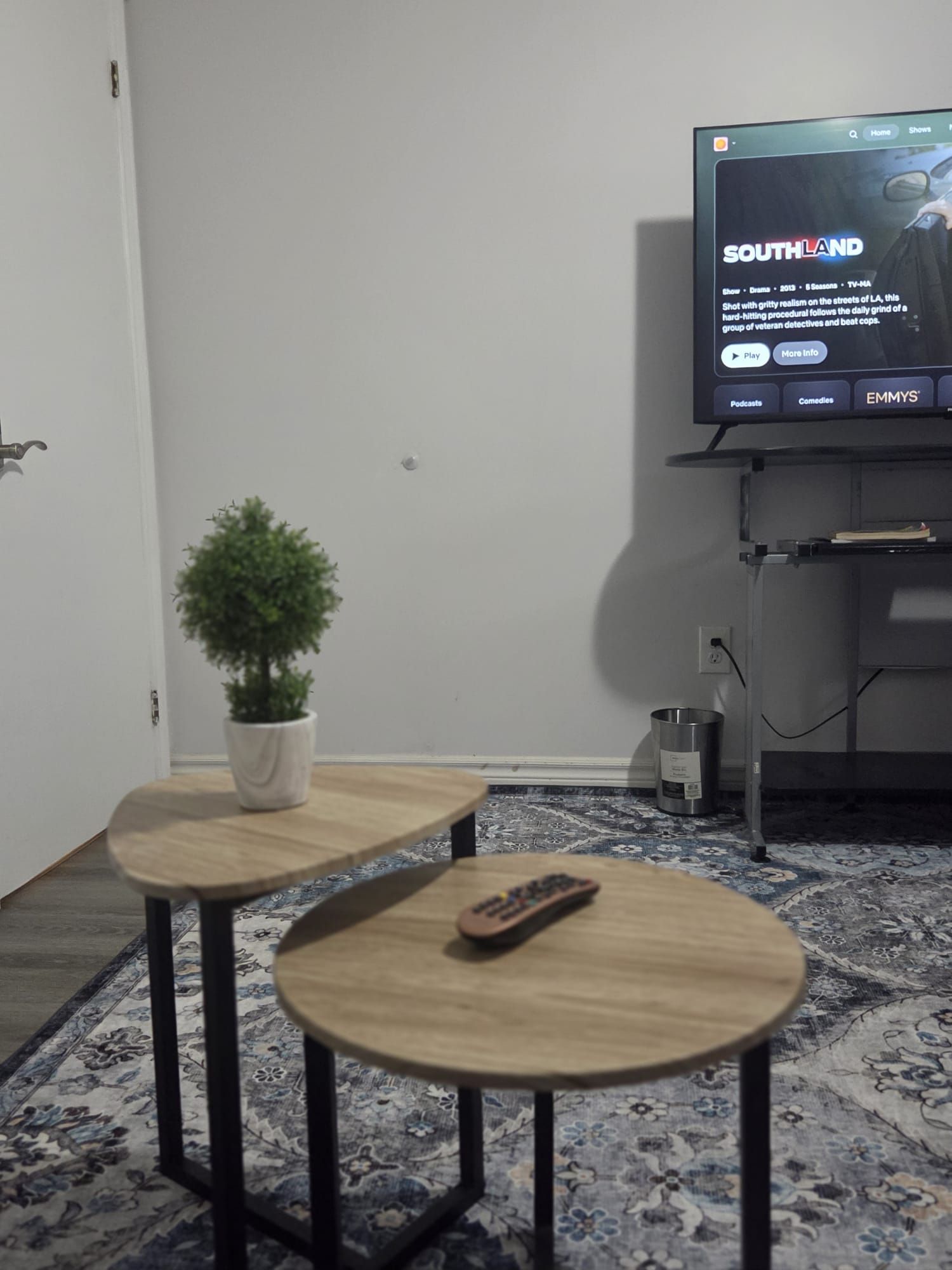 A room with a television displaying 'Southland' on the screen, a potted plant, two small tables, and a remote control on one of the tables.