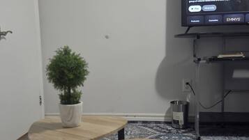 A room with a television displaying 'Southland' on the screen, a potted plant, two small tables, and a remote control on one of the tables.
