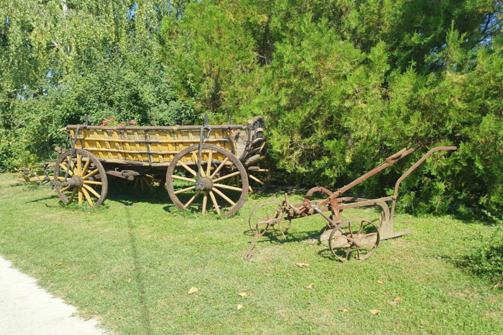 Een oude houten kar met grote wielen en een ploeg, geparkeerd op een grasveld met bomen op de achtergrond.