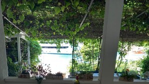 Un espacio al aire libre cubierto con vista a una piscina, rodeado de follaje y plantas en macetas.