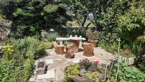 Un jardín con senderos de piedra, taburetes de madera y diversas plantas.