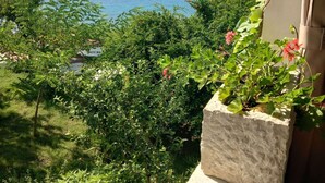 Un exuberante jardín con diversas plantas y una jardinera de piedra.
