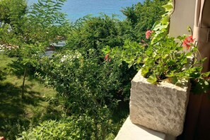 Photo non classée, 3 sur 13, bouton