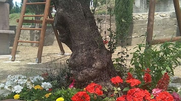 Ein Baum mit einer an ihm angelehnten Holzleiter, umgeben von verschiedenen bunten Blumen.