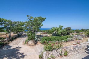 Miscellaneous - Apartments Bonic - Two Bedroom Apartment (Unknown)