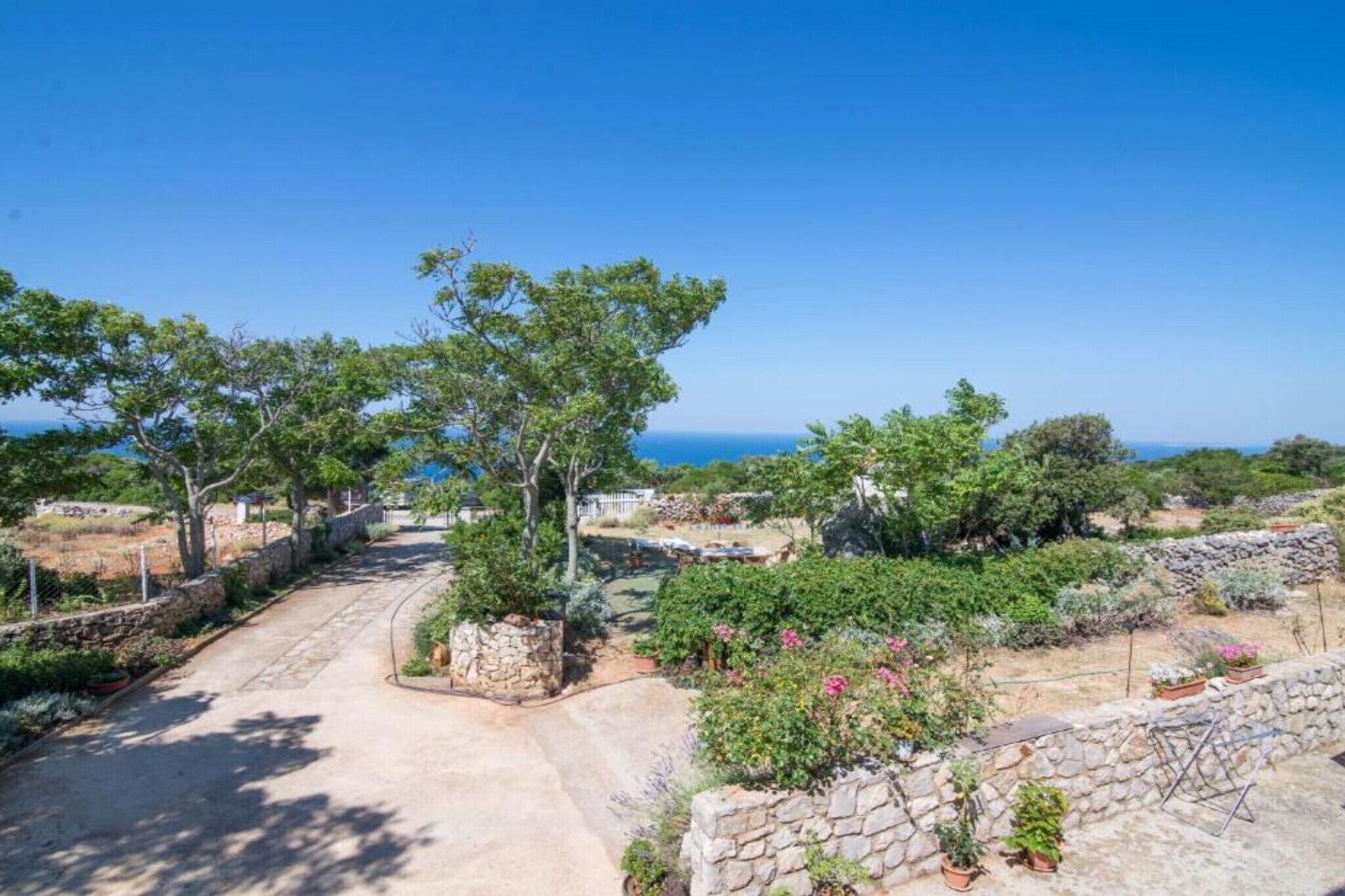 A coastal property with a paved driveway, stone walls, and a variety of greenery.