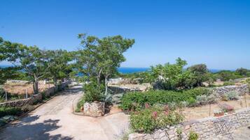 A coastal property with a paved driveway, stone walls, and a variety of greenery.