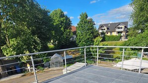 A rooftop terrace with a metal railing, a greenhouse, and residential buildings in the background.