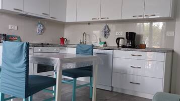 Fridge, oven, stovetop, dishwasher