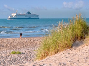 Departamento | Vista desde la propiedad