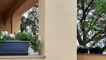 DĂ©tail de lâextĂ©rieur