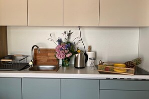 Kühlschrank, Mikrowelle, Herdplatte, Geschirrspüler