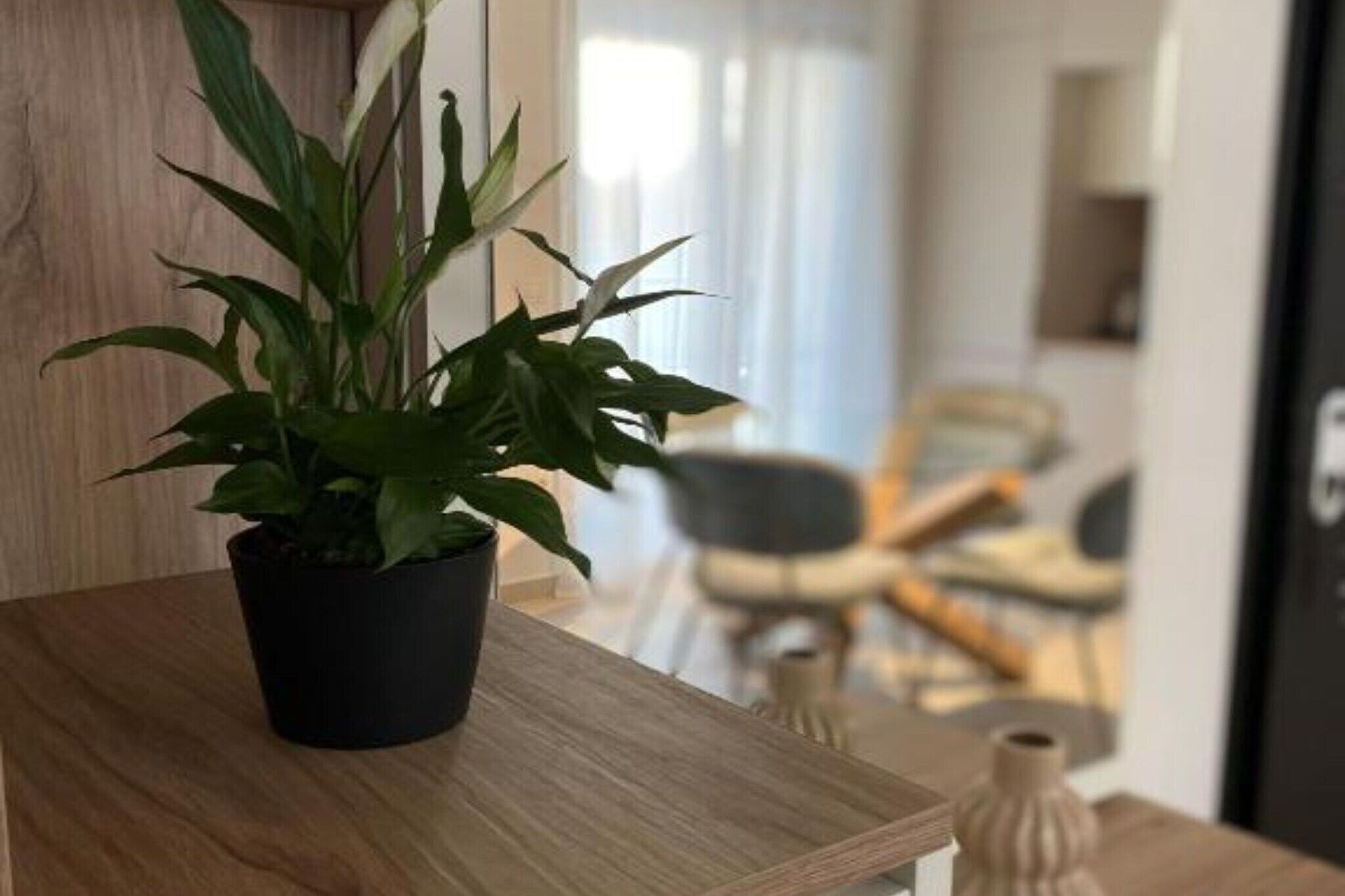 Una planta en maceta sobre una mesa de madera en una habitación de diseño moderno, con un área de comedor al fondo y una puerta a la derecha.
