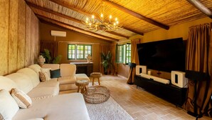 Ein Wohnzimmer mit Sofa, Fernseher und einer Decke mit Webmuster.