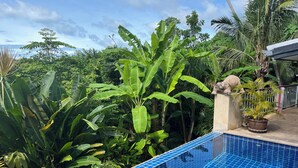 A pool with blue tiles surrounded by lush tropical vegetation. - PINK HOUSE (Koh Samui)