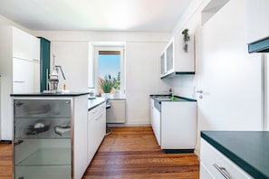 Fridge, oven, stovetop, dishwasher