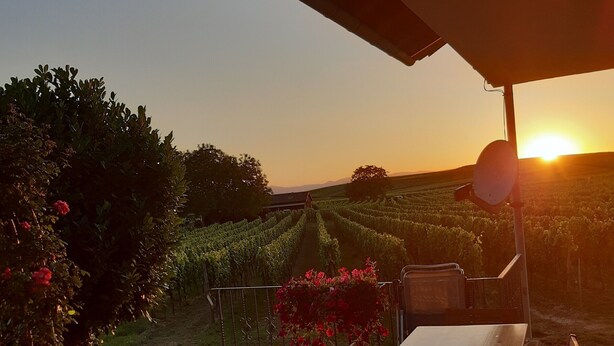 A terrace with a table and chairs, overlooking a vineyard at sunset. - Apartment 'Mit 65qm' with Private Terrace, Private Garden and Wi-Fi (Vogtsburg)