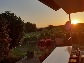 Een terras met een tafel en stoelen, met uitzicht op een wijngaard in de zonsondergang.