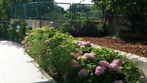 Un jardin agrémenté de diverses plantes à fleurs et doté d’un chemin pavé.