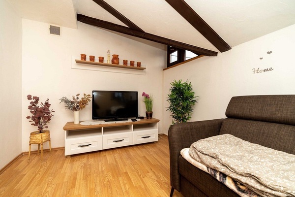 Smart TV, fireplace, table tennis