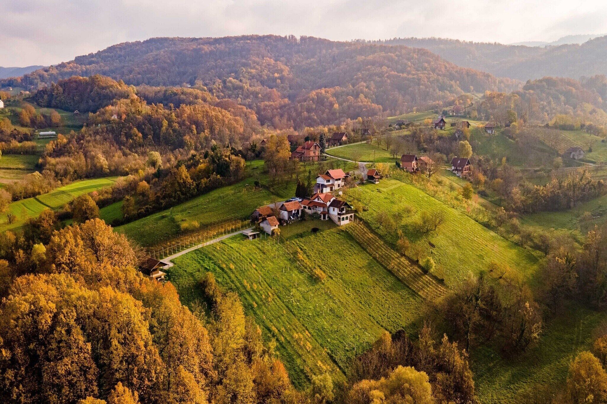 A rural landscape with a cluster of houses surrounded by green fields and autumn-colored trees.