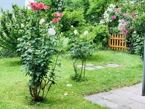 المنطقة المحيطة بالمنشأة