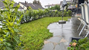 Un área residencial con un sendero de piedra curvo, césped verde y una fila de plantas.
