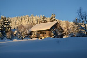 Une cabane en rondins dont le toit est recouvert de neige, entourée d’arbres chargés de neige et sous un ciel bleu dégagé.