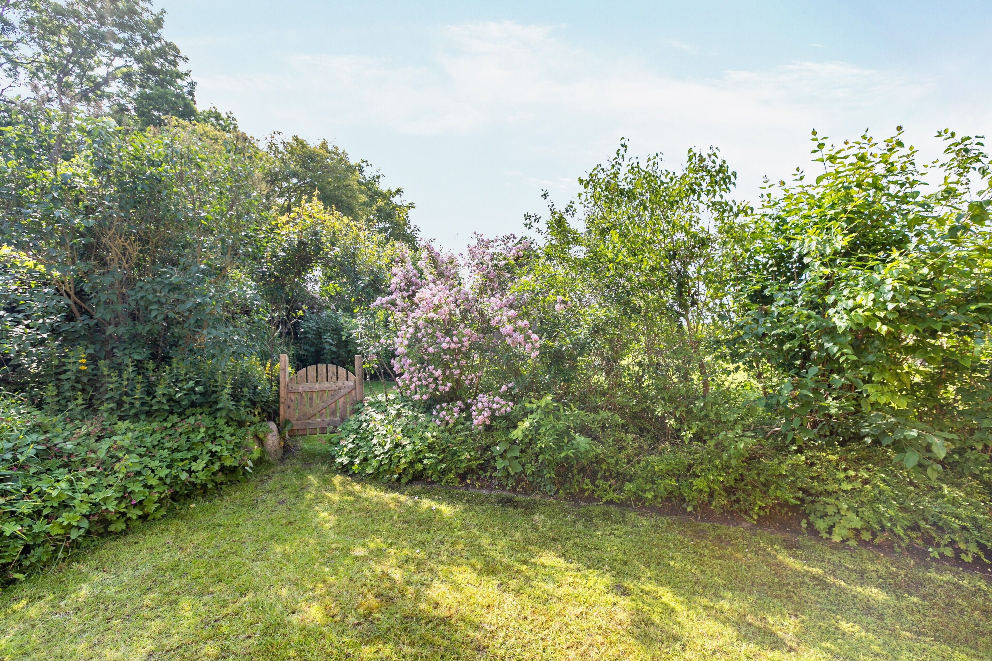 Ein Garten mit Holzzaun, üppigem Grün und blühenden Pflanzen.